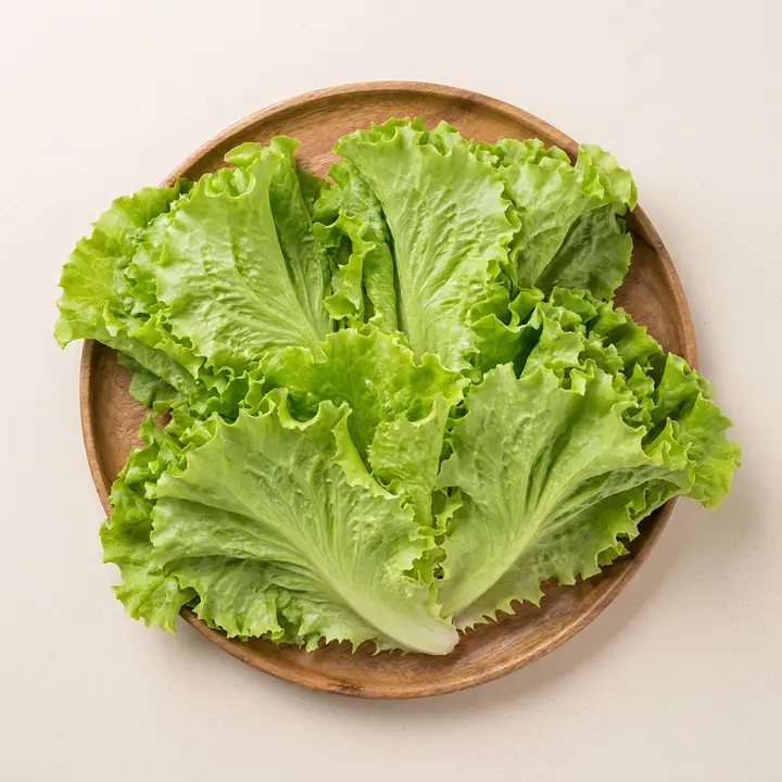 아리팜 유러피안 쌈채소 세트, 1kg, 1박스