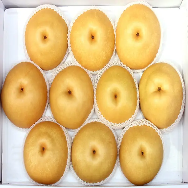 나주 신고배, 5kg, 1박스