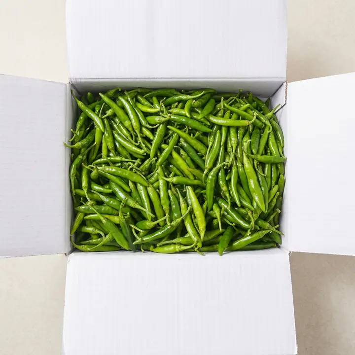 국내산 못난이 햇 청양고추, 1kg, 1개