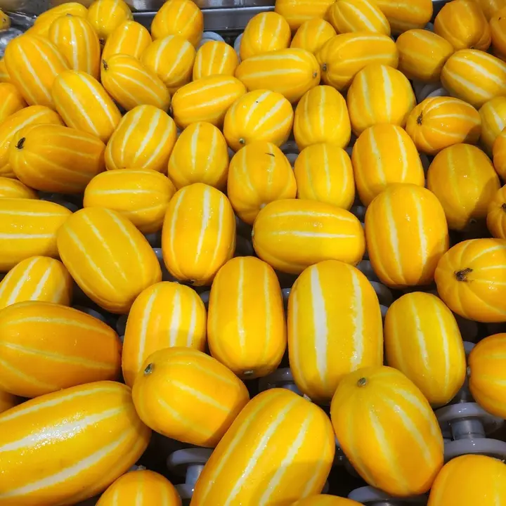 성주참외 가정용 혼밥과, 10kg 이상, 1박스