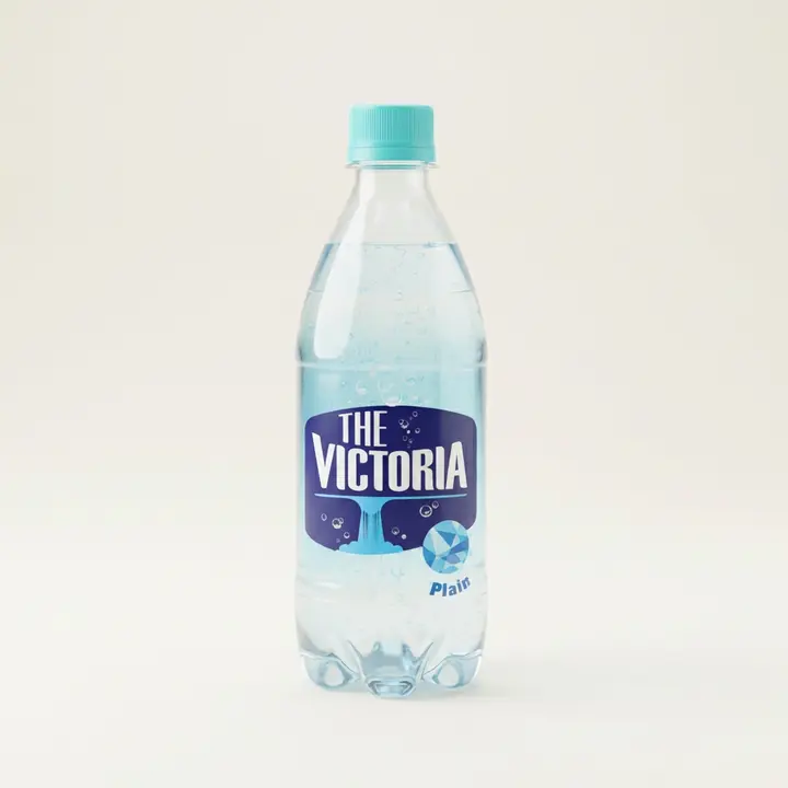 더 빅토리아, 플레인, 500ml, 20개