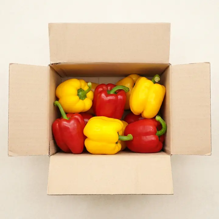 유알팜 국내산 못난이 파프리카, 가정용, 색상 랜덤, 2kg, 1박스
