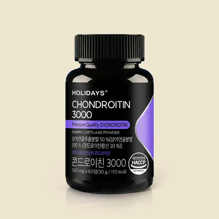 홀리데이즈 콘드로이친 3000, 500mg, 60정, 2병