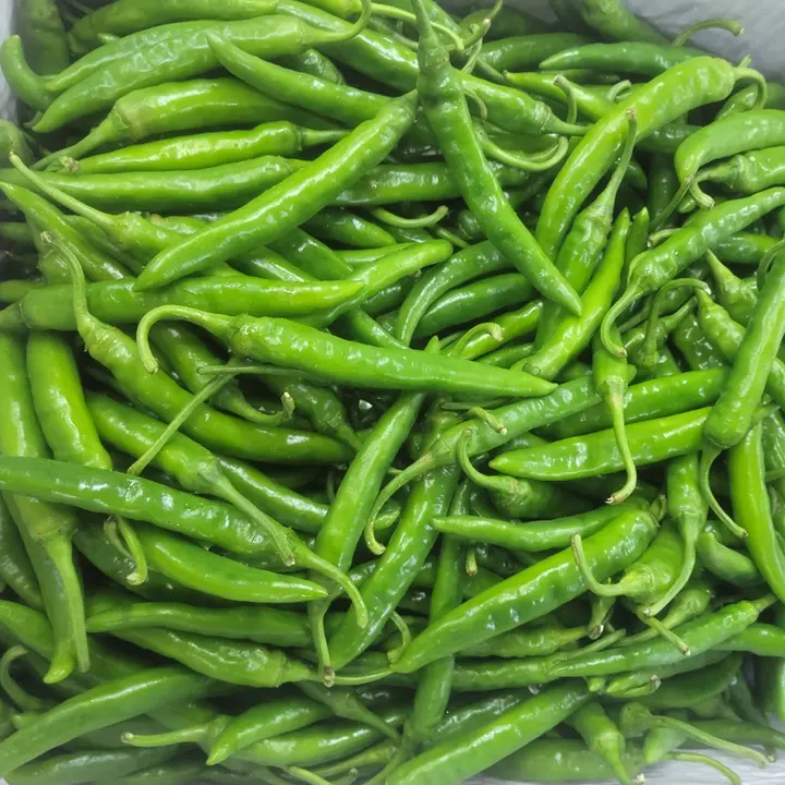 의령농산 국내산 가정용 청양고추, 2kg, 1박스