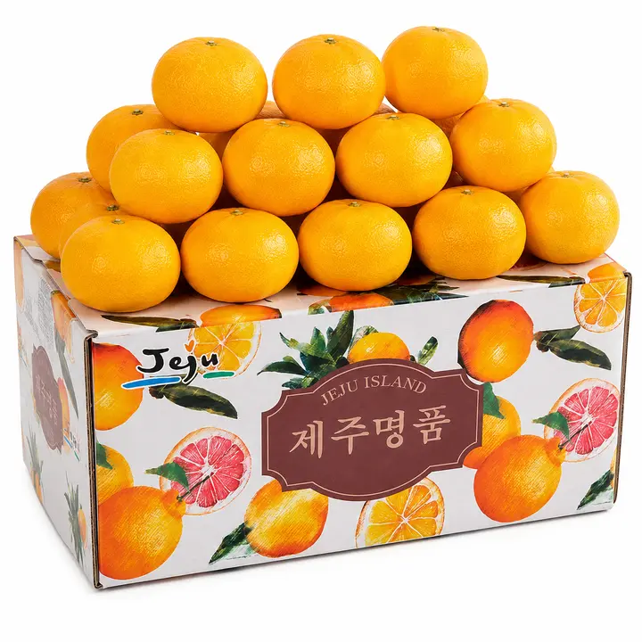 진과원 제주 정품 하우스 감귤 대과, 5kg, 1개