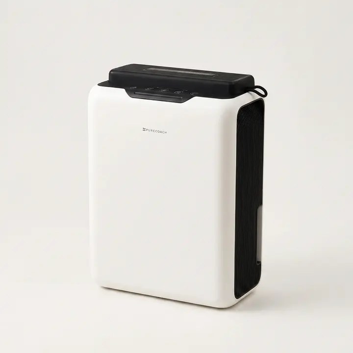 퓨어코치 2 in 1 실리카겔 펠티어 제습기, DH2500D, 1개