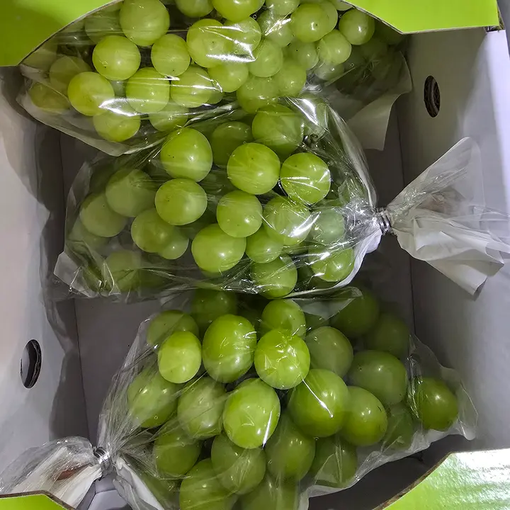 씨없는 포도 샤인머스켓, 랜덤과, 2kg, 1개