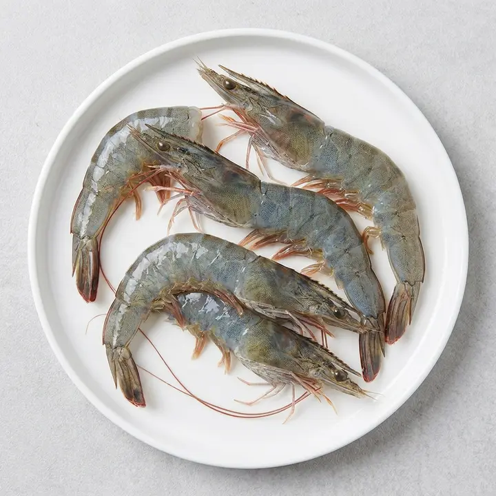 산지직송 활 뚱띠 흰다리새우, 1kg, 1팩