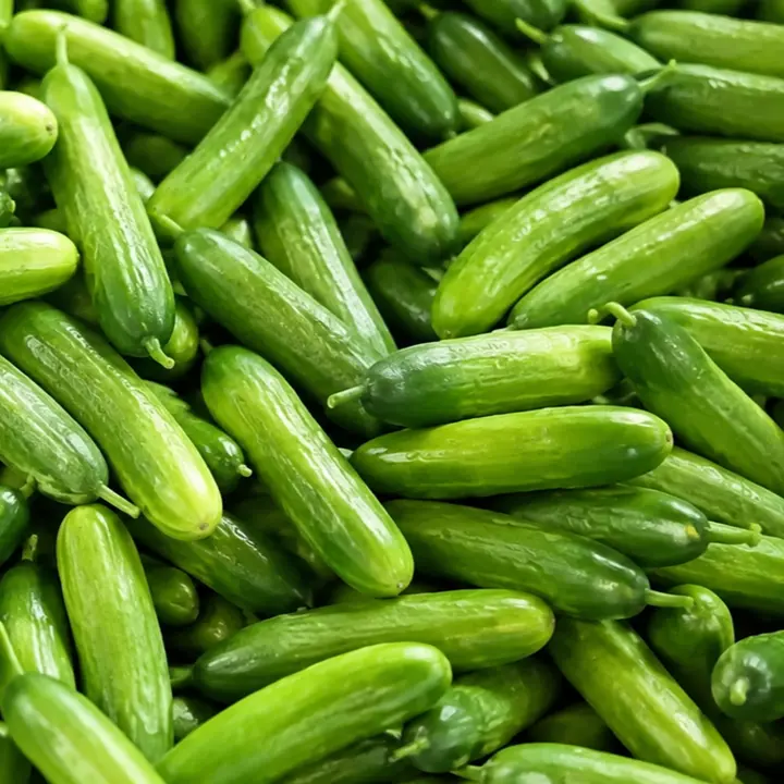 더팜 솔루션 미니 오이, 2kg, 1박스