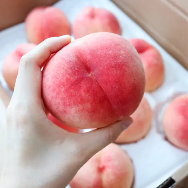 블루밍그린 랜덤 복숭아, 4kg, 22-25과 내외, 1박스