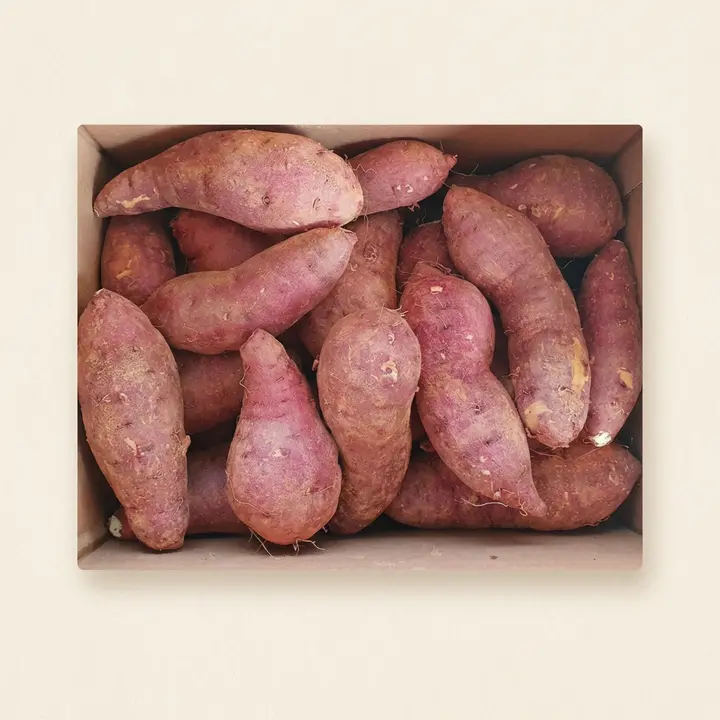달콤고구마 해남 햇 황토 꿀고구마, 베니하루카, 대, 3kg, 1박스