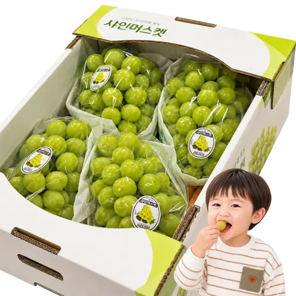 담과원 씨없는 꿀뚝뚝 샤인머스켓, 2kg, 1박스