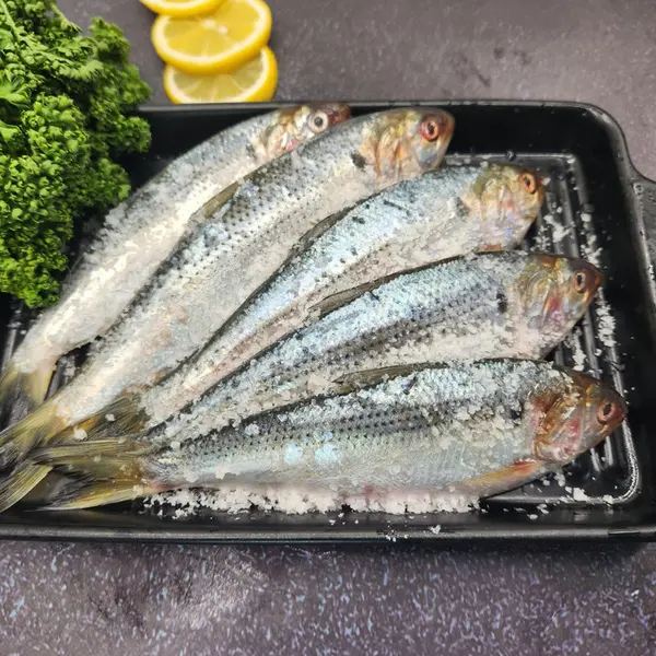 자연산 전어, 구이용, 1kg, 1박스