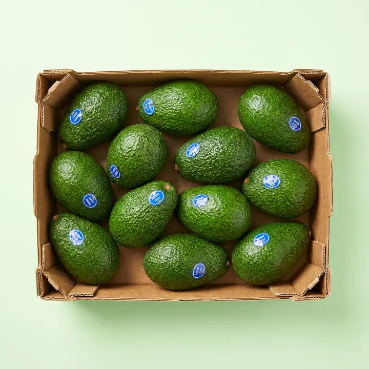 아보카도, 후숙용, 직수입, 200g, 10과, 10개