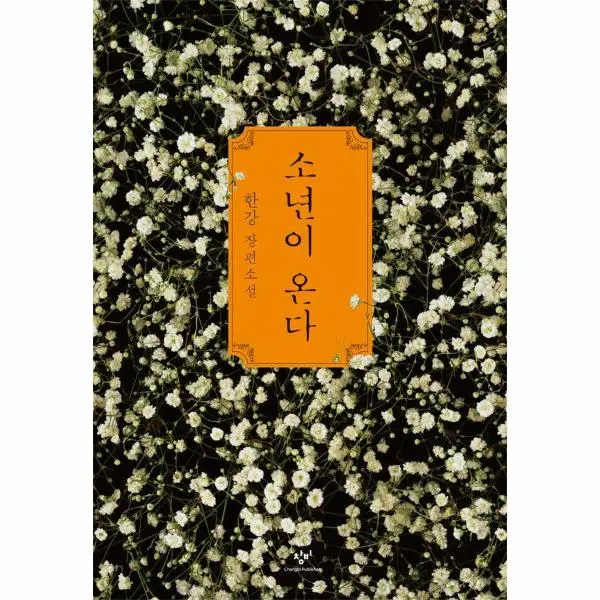 소년이 온다 : 한강 장편소설 (2024 노벨문학상 수상작가), 단일옵션