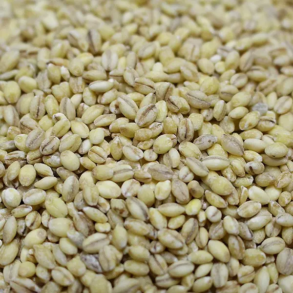 국내산 찰보리, 500g, 4봉, 1개