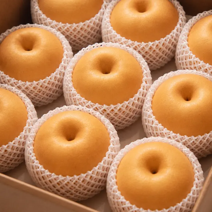 가정용 햇 배, 5-9과 내외, 3kg, 1개
