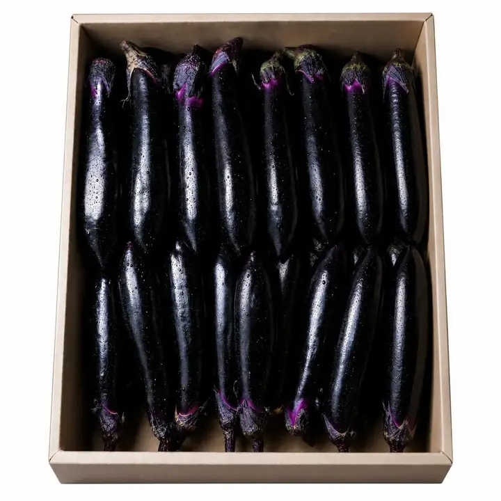 국내산 가지, 2kg, 1박스