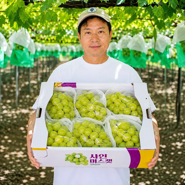 경북 샤인머스켓, 2kg, 1박스