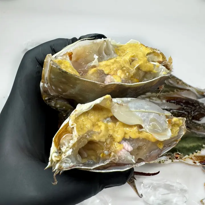 수산특공대 서해안 활 숫꽃게, 3-5미, 1kg, 1개