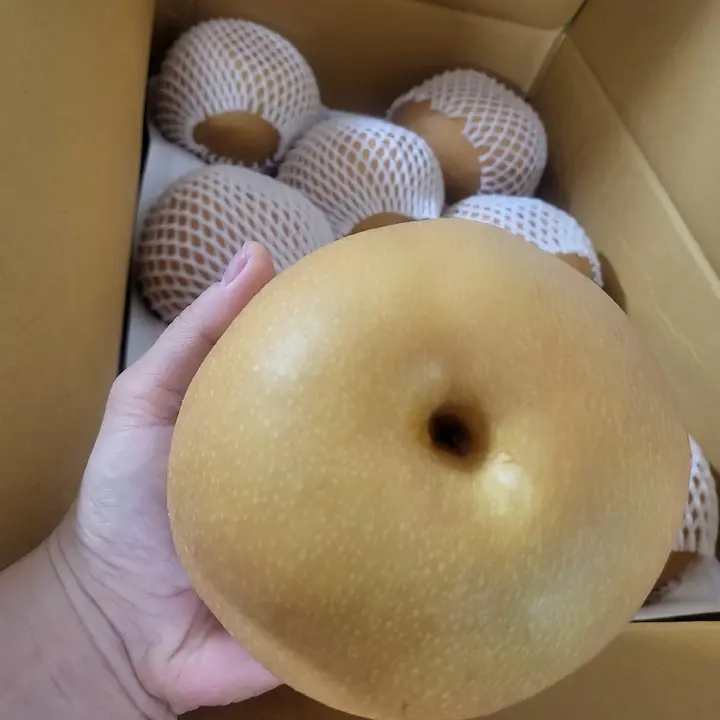 상특급 햇배, 20-30과, 10kg, 1박스