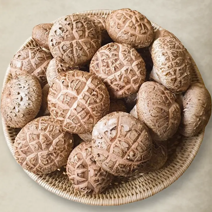 송가네 국내산 선별 표고버섯, A급, 파지, 알뜰형, 1kg, 1박스