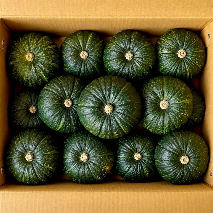 제주 미니 단호박 보우짱, 로얄과, 5kg, 1박스