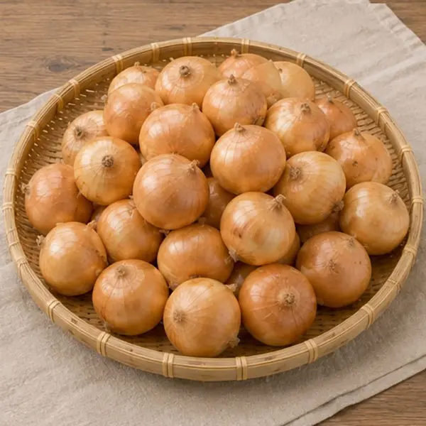 전남무안 양파, 중, 5kg, 1박스