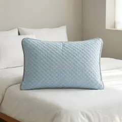 뉴포츠 쿨링 냉감 아이스 베개커버, 블루, 45x70cm, 2개