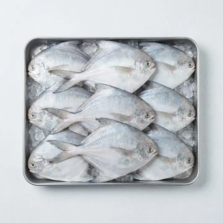 수짱푸드 국내산 생물 횟감 병어, 1kg, 1세트