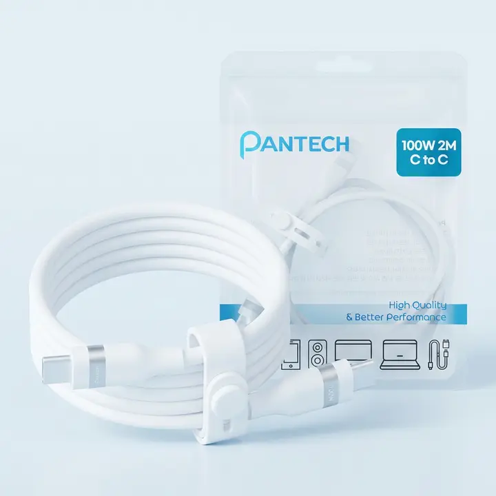 팬택 100W 실리콘 C타입 to C타입 초고속충전 케이블, 화이트, 2m, 1개