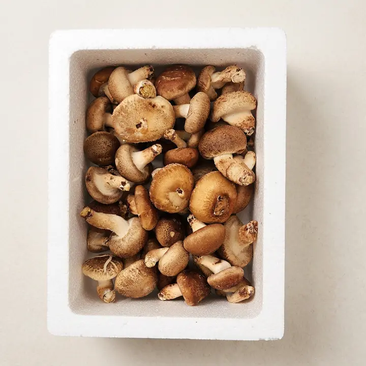 국내산 무농약 친환경 솔송화버섯, 가정용, 500g, 1개