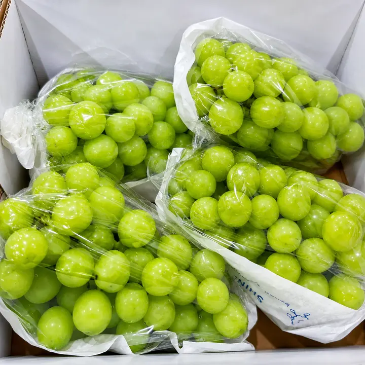 산들청과 가정용 샤인머스켓, 4-5수, 2kg, 1박스