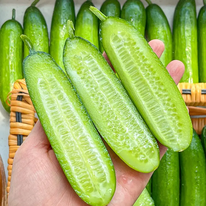 국내산 한입 미니오이, 특품, 3kg, 42개, 1박스