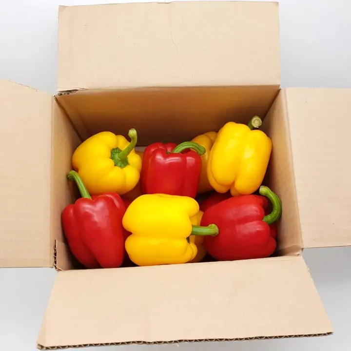 의령농산 못난이 파프리카, 가정용, 1kg, 1박스