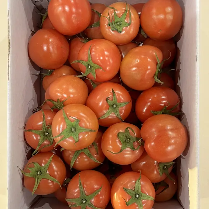 비아 완숙 토마토, 4번과, 5kg, 1박스