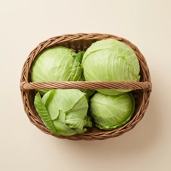 느영나영 친환경 무농약 양배추, 3kg, 2통