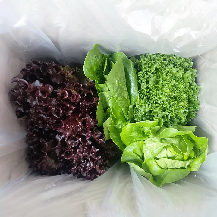 유러피안샐러드, 1kg, 1박스