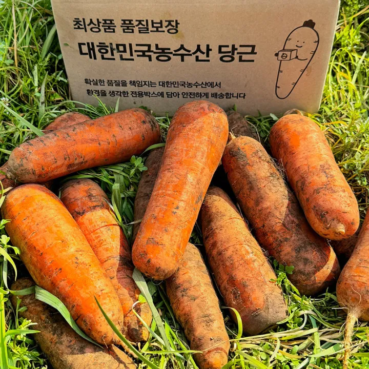 햇당근, 상, 5kg, 1개