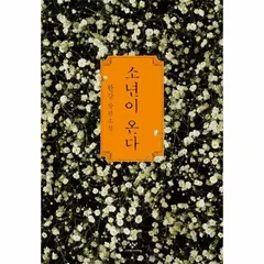 소년이 온다 : 한강 장편소설 (2024 노벨문학상 수상작가), 단일옵션